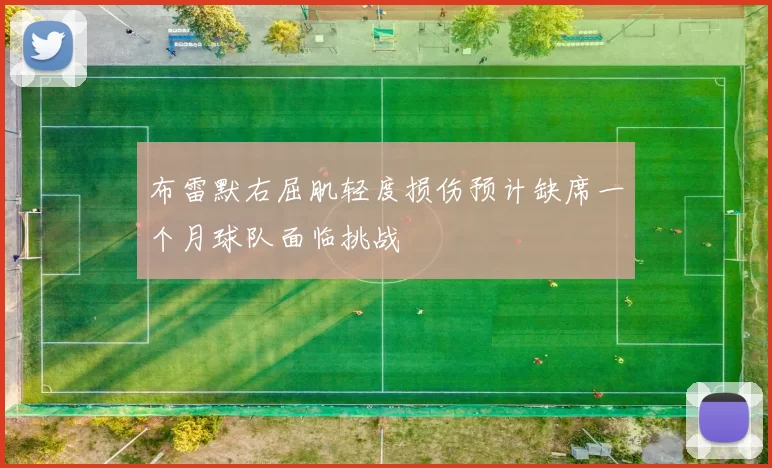 布雷默右屈肌轻度损伤预计缺席一个月球队面临挑战